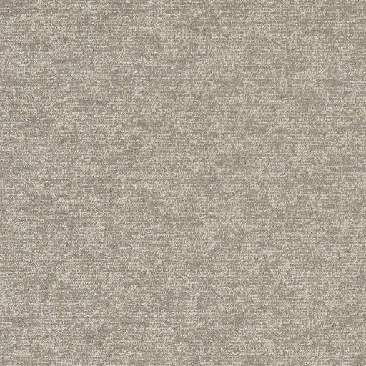 Charlotte - D1718 - Stone - Fabric by the Yard Stone