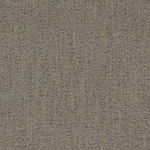 Charlotte - D1723 - Iron - Fabric by the Yard Iron