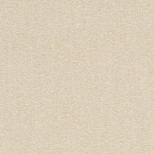 Charlotte - D1724 - Cream - Fabric by the Yard Cream