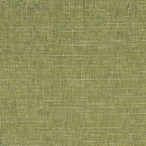 Charlotte - D1739 - Grass - Fabric by the Yard Grass