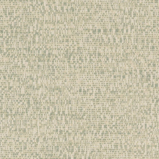Charlotte - D1749 - Mist - Fabric by the Yard Mist