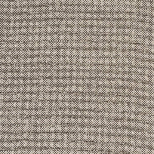 Charlotte - D1755 - Fossil - Fabric by the Yard Fossil