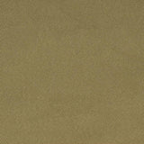 Charlotte - D1760 - Sage - Fabric by the Yard