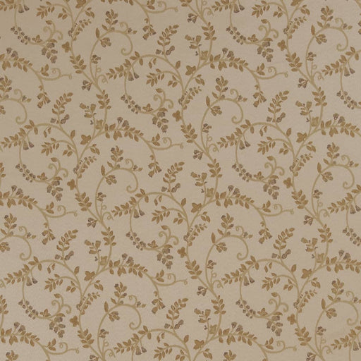 Charlotte - D1809 - Champagne Nicolette - Fabric by the Yard Champagne Nicolette
