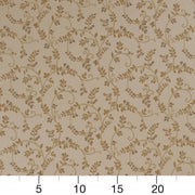 Charlotte - D1809 - Champagne Nicolette - Fabric by the Yard - D1809 - D1809_Ruler