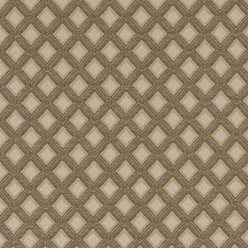 Charlotte - D1824 - Prairie Estelle - Fabric by the Yard Prairie Estelle