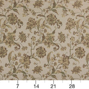 Charlotte - D1843 - Prairie Cecile - Fabric by the Yard - D1843 - D1843_Ruler