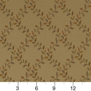 Charlotte - D1852 - Meadow Ella - Fabric by the Yard - D1852 - D1852_Ruler