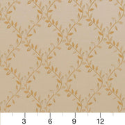 Charlotte - D1855 - Ivory Ella - Fabric by the Yard - D1855 - D1855_Ruler