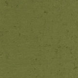 Charlotte - D1904 - Caper - Fabric by the Yard