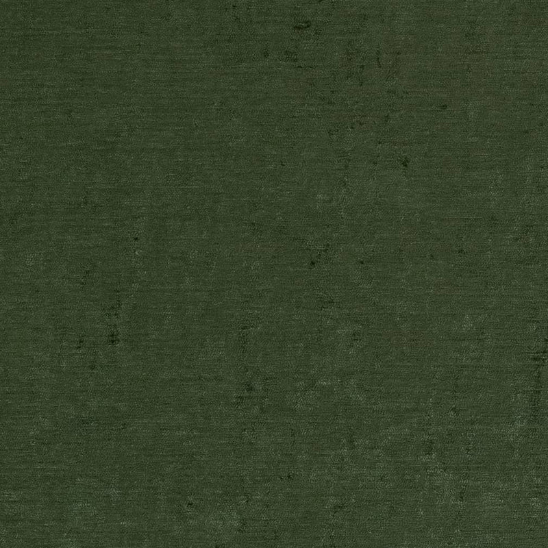 Charlotte - D1906 - Juniper - Fabric by the Yard Juniper