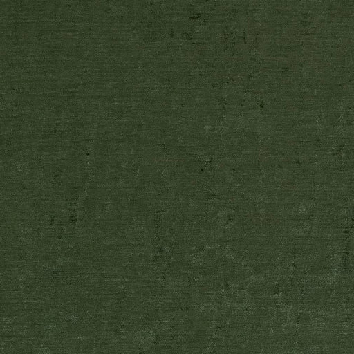 Charlotte - D1906 - Juniper - Fabric by the Yard Juniper