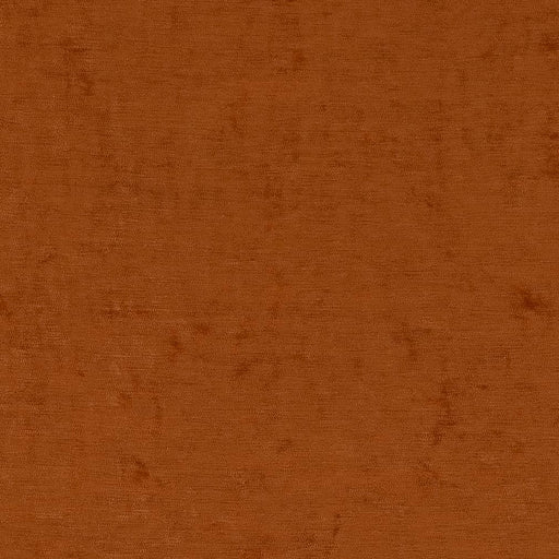 Charlotte - D1908 - Marmalade - Fabric by the Yard Marmalade