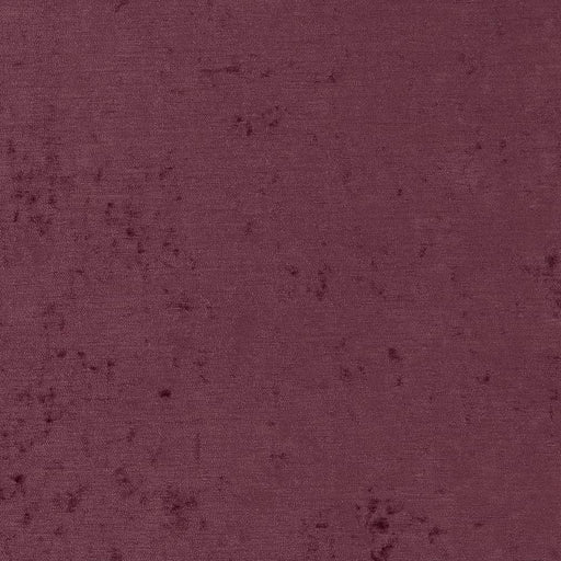 Charlotte - D1914 - Violet - Fabric by the Yard Violet