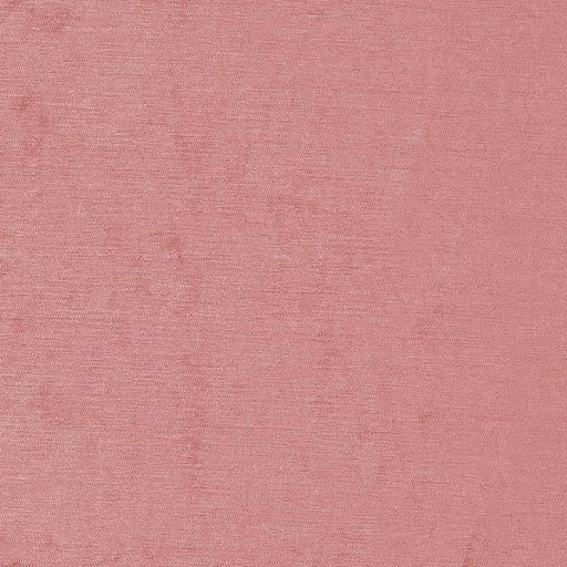 Charlotte - D1924 - Rose - Fabric by the Yard Rose