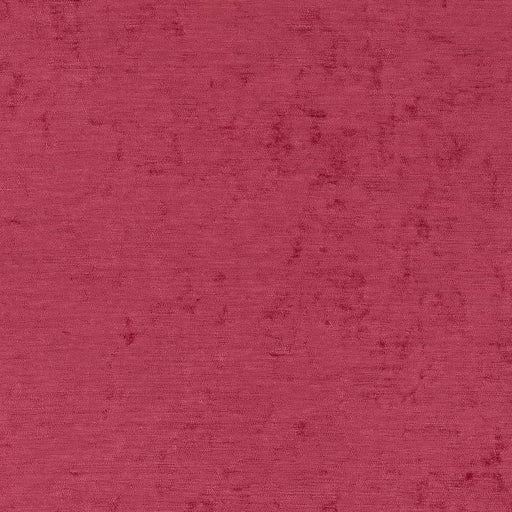 Charlotte - D1925 - Fuchsia - Fabric by the Yard Fuchsia