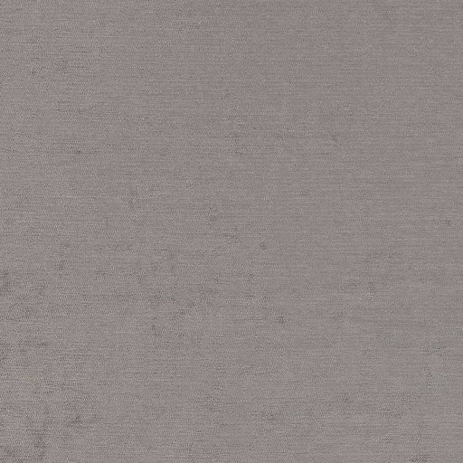 Charlotte - D1932 - Sterling - Fabric by the Yard Sterling