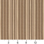 Charlotte - D1940 - Ecru Stripe - Fabric by the Yard - D1940 - D1940_Ruler