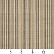 Charlotte - D1941 - Coffee Stripe - Fabric by the Yard - D1941 - D1941_Ruler
