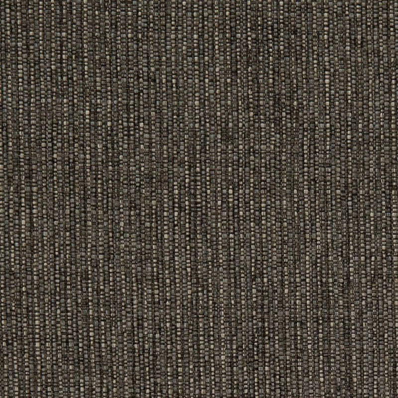 Charlotte - D1956 - Carbon - Fabric by the Yard Carbon