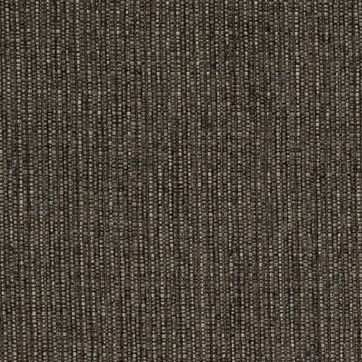 Charlotte - D1956 - Carbon - Fabric by the Yard Carbon