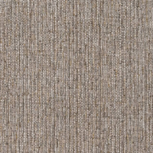 Charlotte - D1961 - Sage - Fabric by the Yard Sage