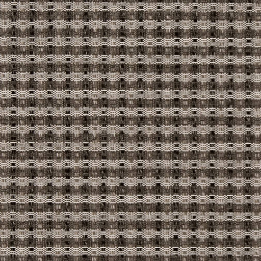 Charlotte - D1964 - Onyx - Fabric by the Yard Onyx