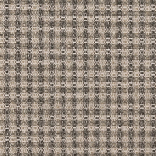 Charlotte - D1966 - Pewter - Fabric by the Yard Pewter