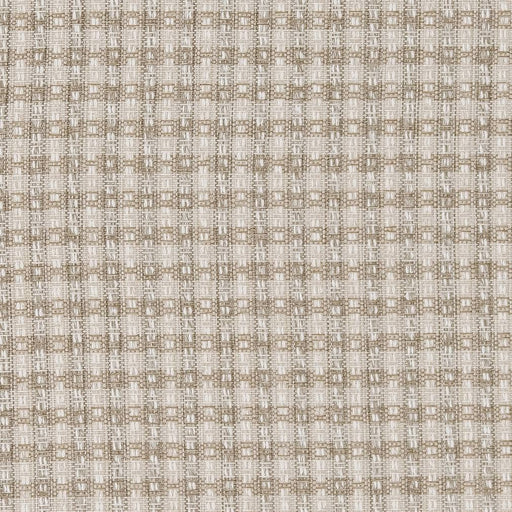 Charlotte - D1967 - Oyster - Fabric by the Yard Oyster