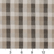 Charlotte - D1976 - Pebble - Fabric by the Yard - D1976 - D1976_Ruler