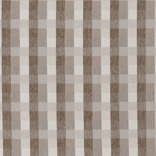 Charlotte - D1977 - Dove - Fabric by the Yard Dove