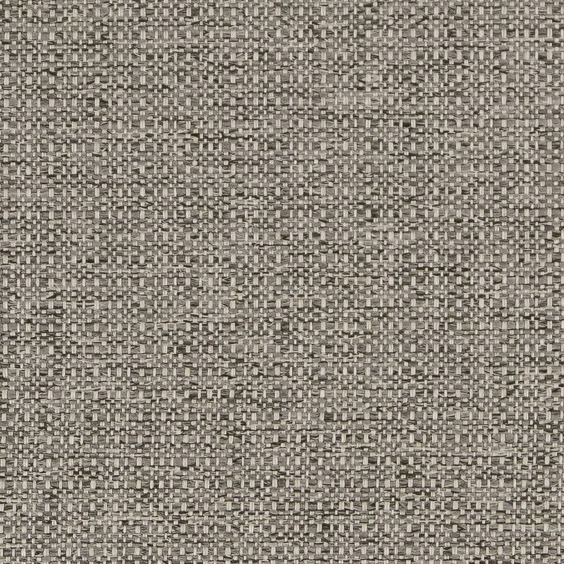 Charlotte - D1979 - Platinum - Fabric by the Yard Platinum
