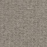 Charlotte - D1979 - Platinum - Fabric by the Yard