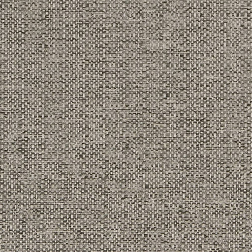 Charlotte - D1979 - Platinum - Fabric by the Yard Platinum