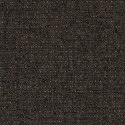 Charlotte - D1986 - Charcoal - Fabric by the Yard Charcoal