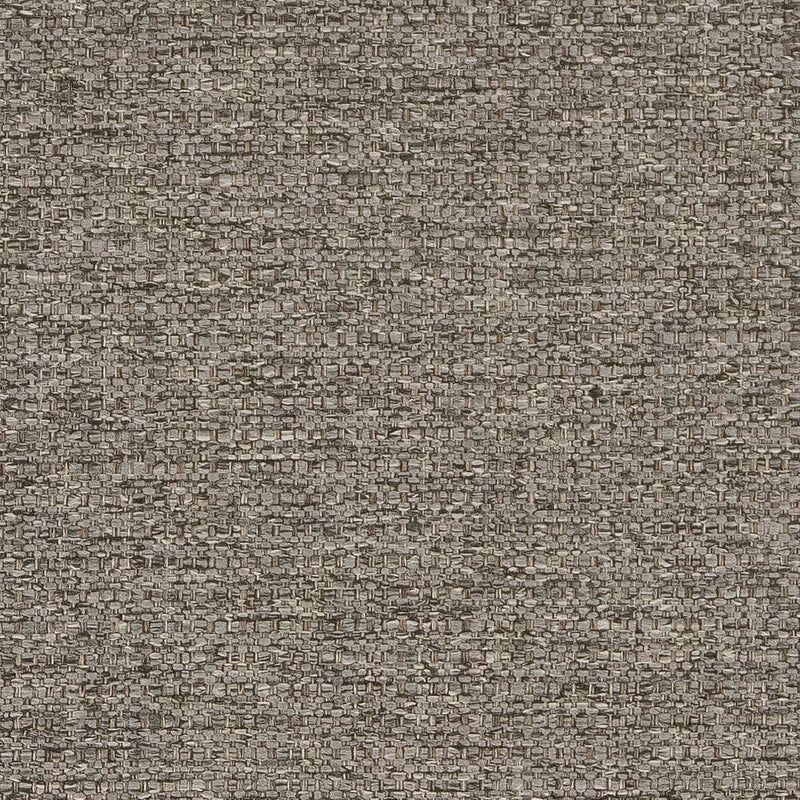 Charlotte - D1991 - Mineral - Fabric by the Yard Mineral