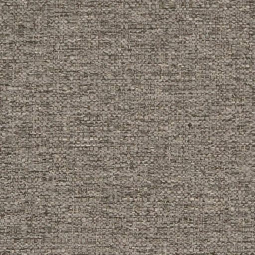 Charlotte - D1991 - Mineral - Fabric by the Yard Mineral