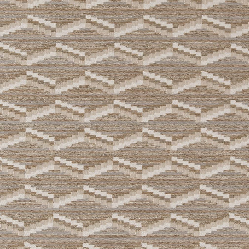 Charlotte - D2020 - Pebble - Fabric by the Yard Pebble