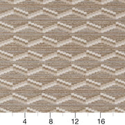 Charlotte - D2020 - Pebble - Fabric by the Yard - D2020 - D2020_Ruler