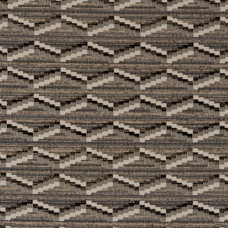 Charlotte - D2024 - Graphite - Fabric by the Yard Graphite