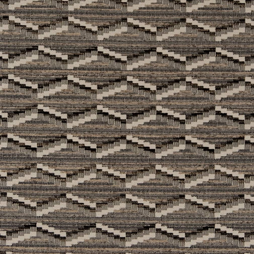 Charlotte - D2024 - Graphite - Fabric by the Yard Graphite