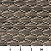 Charlotte - D2024 - Graphite - Fabric by the Yard - D2024 - D2024_Ruler