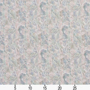 Charlotte - D2053 - Petal - Fabric by the Yard - D2053 - D2053_Ruler