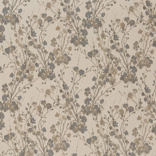 Charlotte - D2081 - Oxford - Fabric by the Yard Oxford
