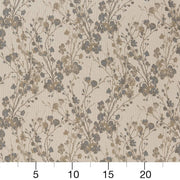 Charlotte - D2081 - Oxford - Fabric by the Yard - D2081 - D2081_Ruler