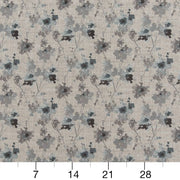 Charlotte - D2085 - Slate - Fabric by the Yard - D2085 - D2085_Ruler