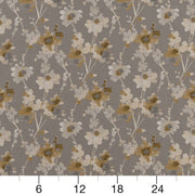 Charlotte - D2086 - Hazelwood - Fabric by the Yard - D2086 - D2086_Ruler