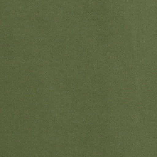 Charlotte - D2090 - Basil - Fabric by the Yard Basil