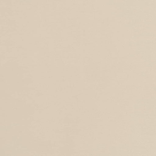 Charlotte - D2097 - Cream - Fabric by the Yard Cream