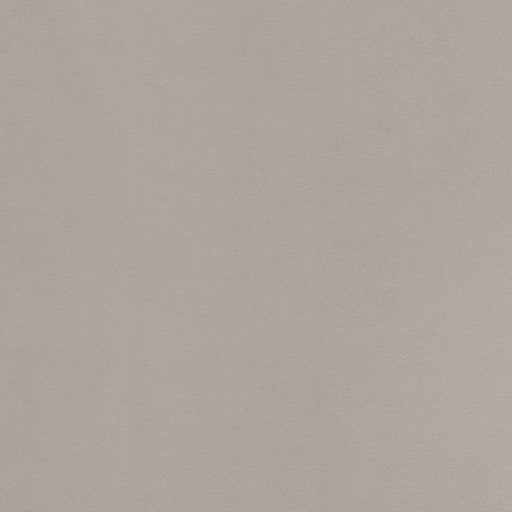 Charlotte - D2100 - Silver - Fabric by the Yard Silver